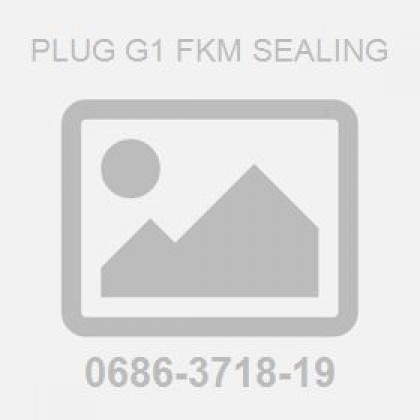 Plug G1 FKM Sealing